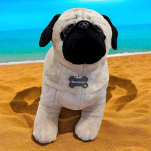 Load image into Gallery viewer, Bone Shaped Dog Tags